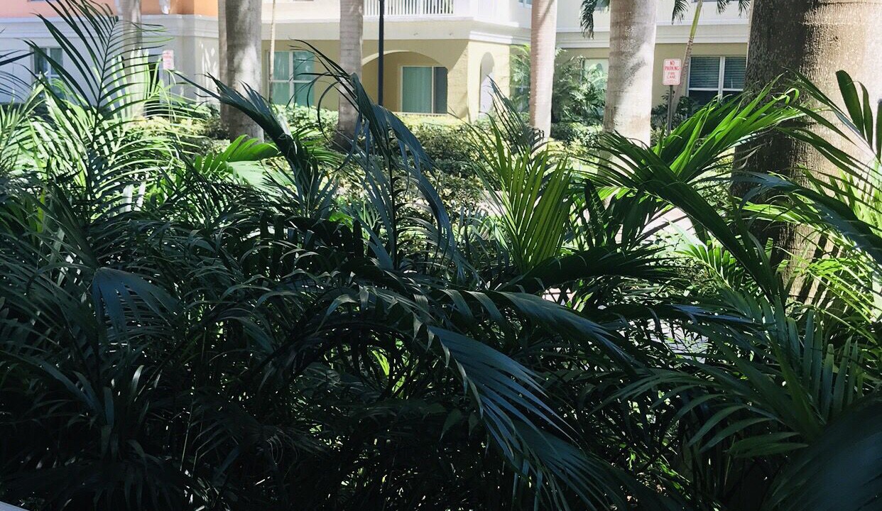 Photo of Outdoor in East Ocean Ave