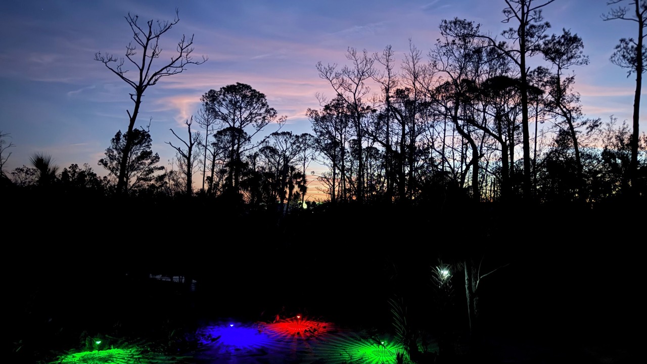 Photo of Others in Steinhatchee