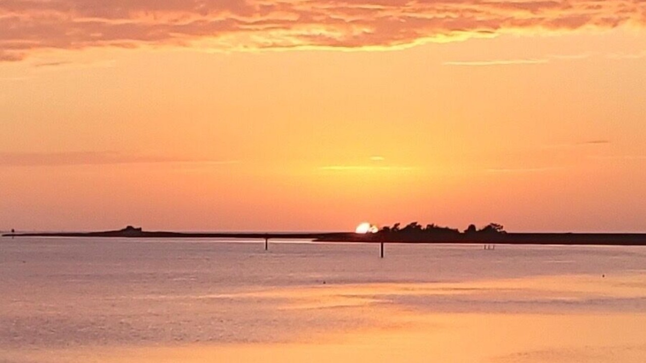 Photo of Others in Steinhatchee