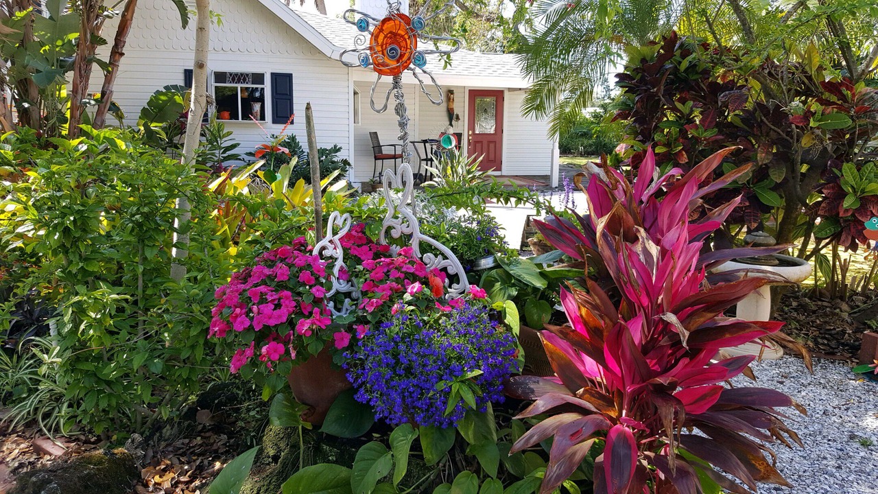 Photo of Outdoor in Dunedin