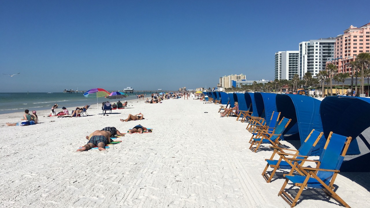 Photo of Others in Sand Key