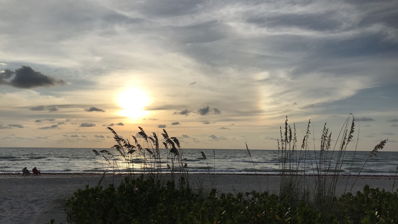 Photo of Others in Sand Key