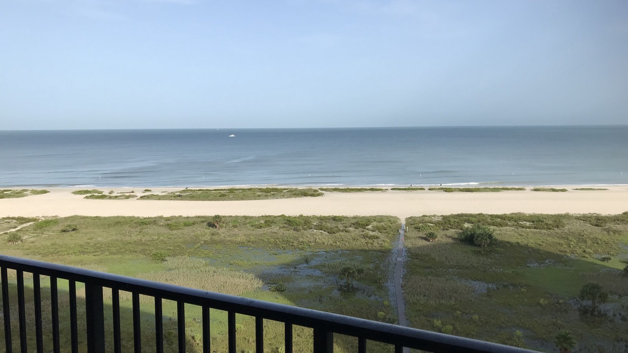 Photo of Others in Sand Key