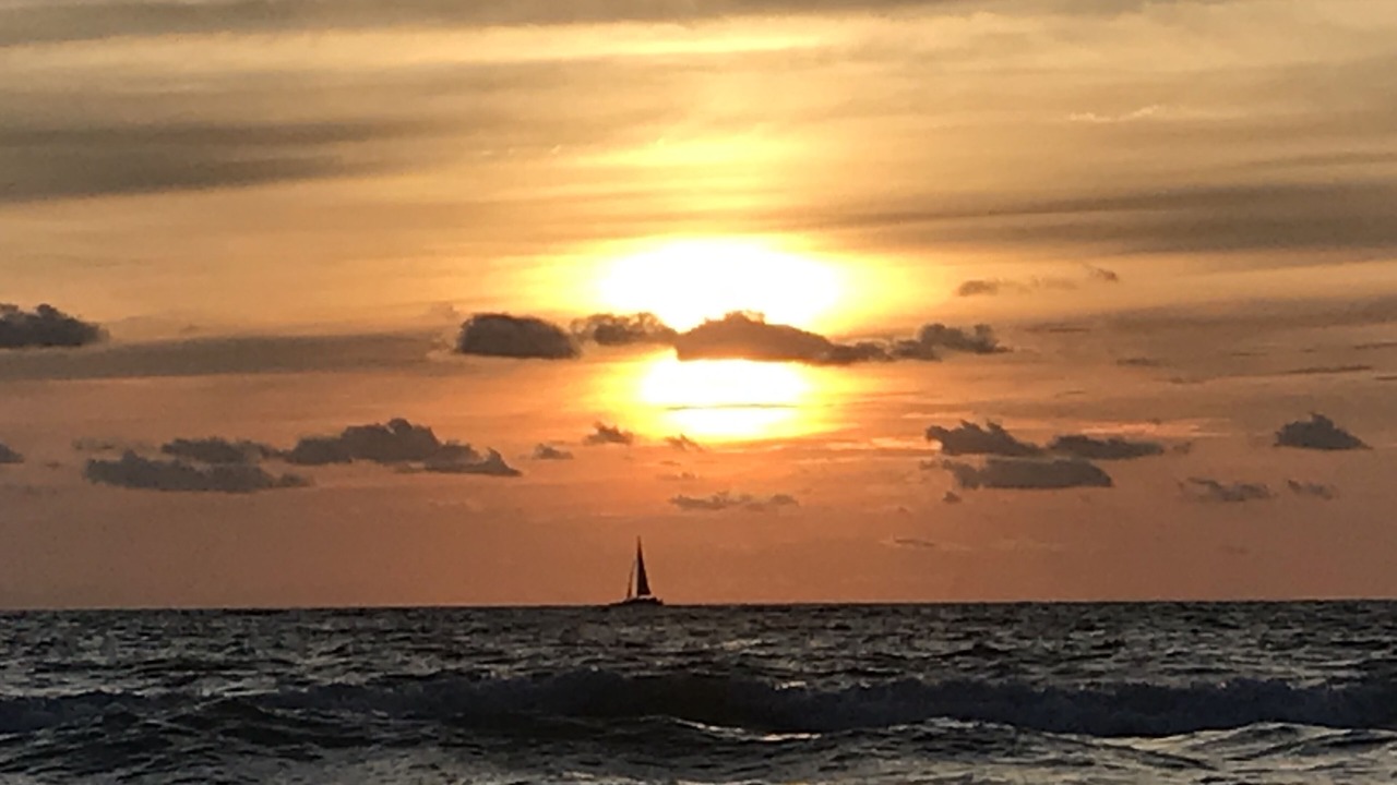 Photo of Others in Sand Key