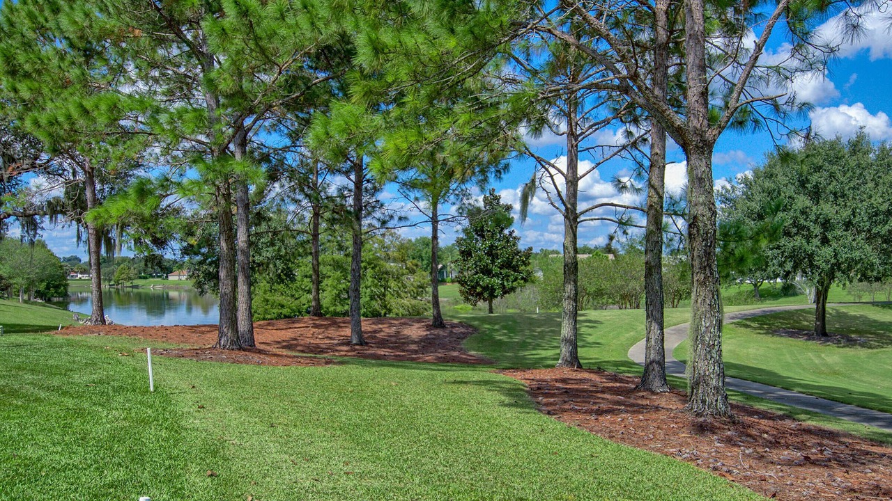 Photo of Outdoor in The Villages