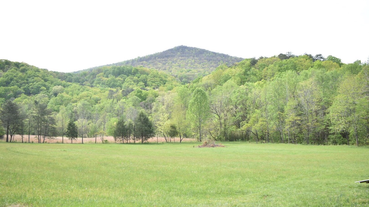 Photo of Others in Chickamauga