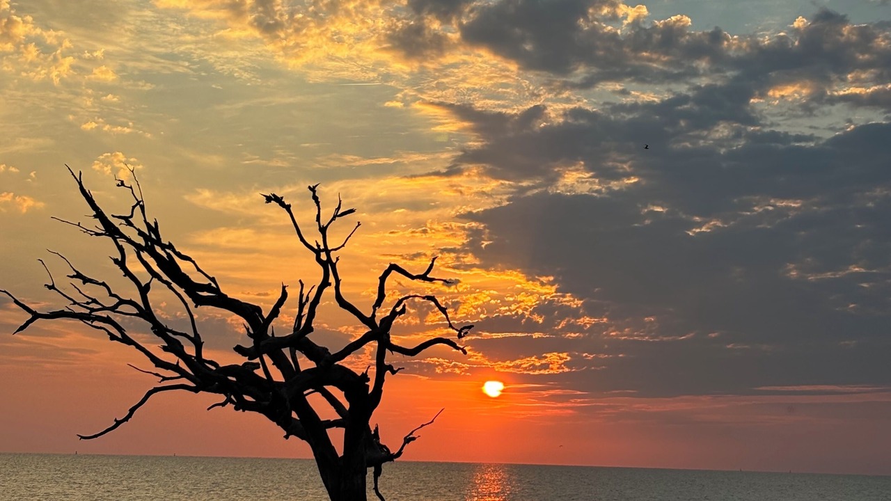 Photo of Others in Jekyll Island