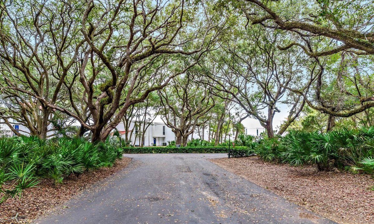 Photo of Outdoor in Jekyll Island