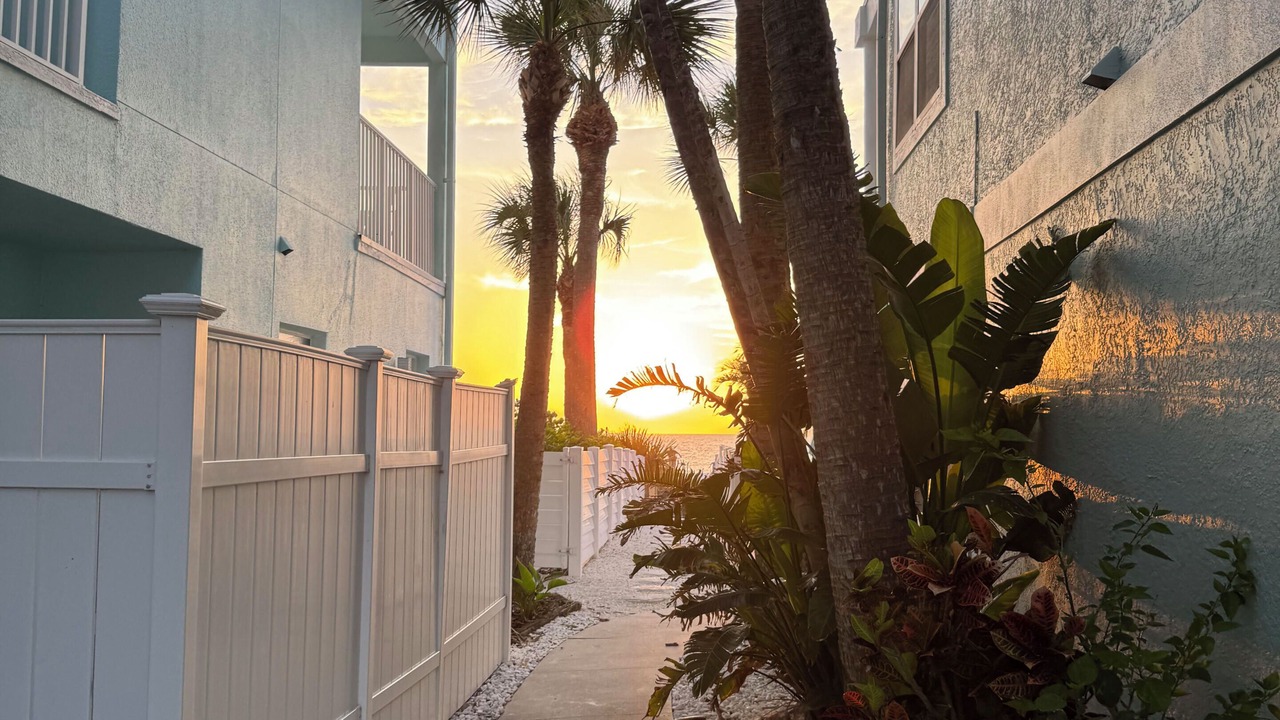 Photo of Others in Indian Rocks Beach