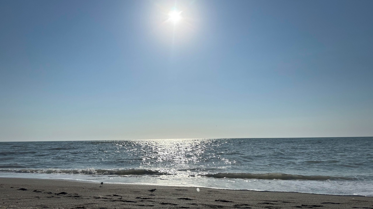Photo of Others in Indian Rocks Beach