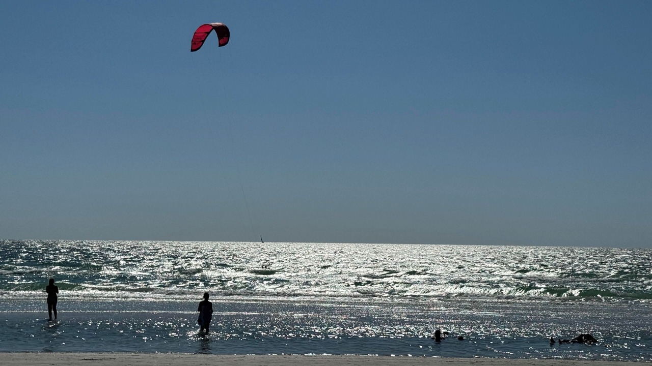 Photo of Others in Indian Rocks Beach