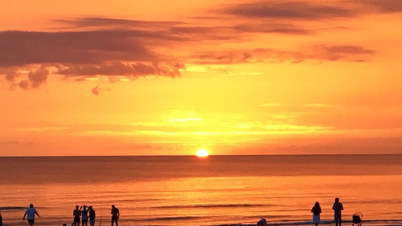 Photo of Others in Indian Rocks Beach