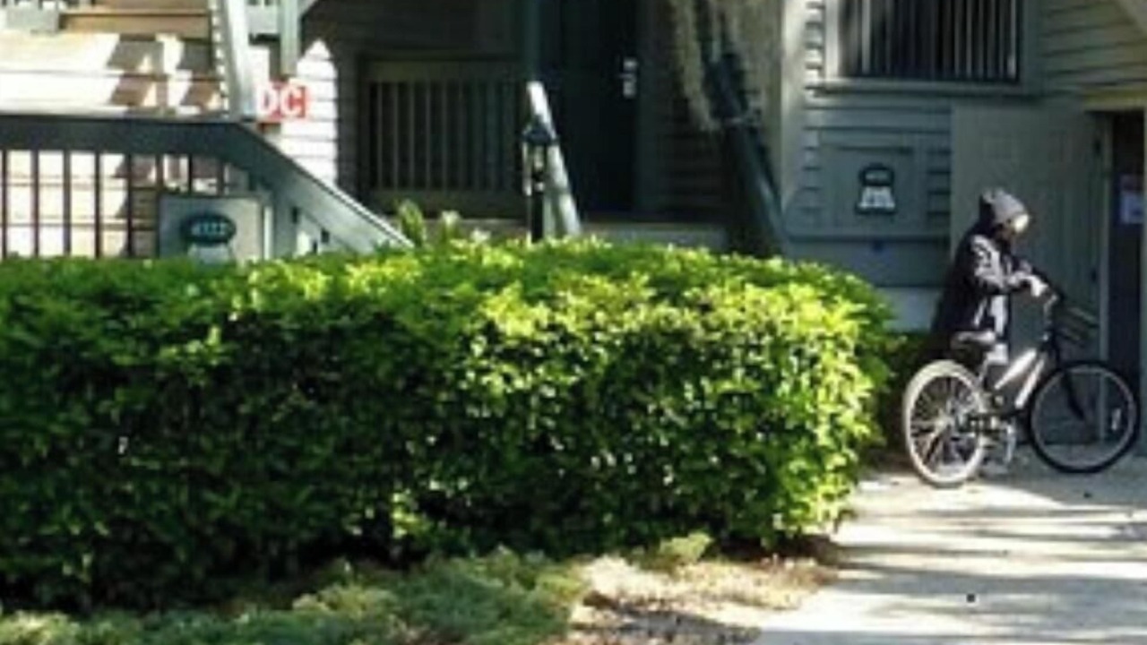 Photo of Outdoor in Shipyard Plantation