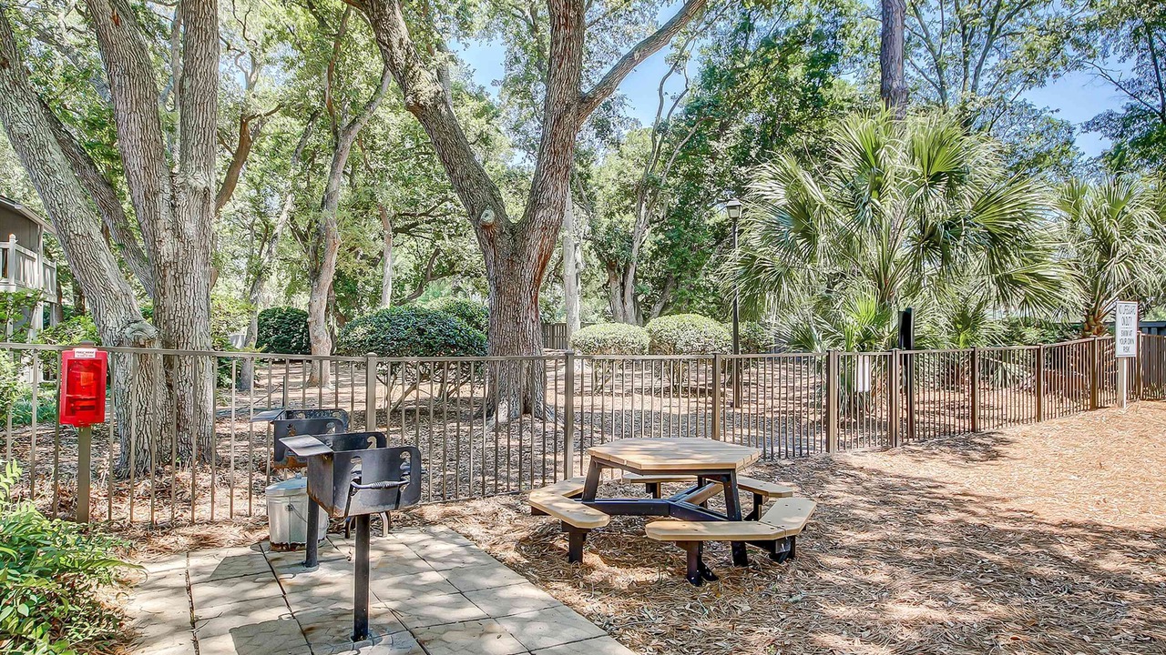 Photo of Outdoor in Folly Field