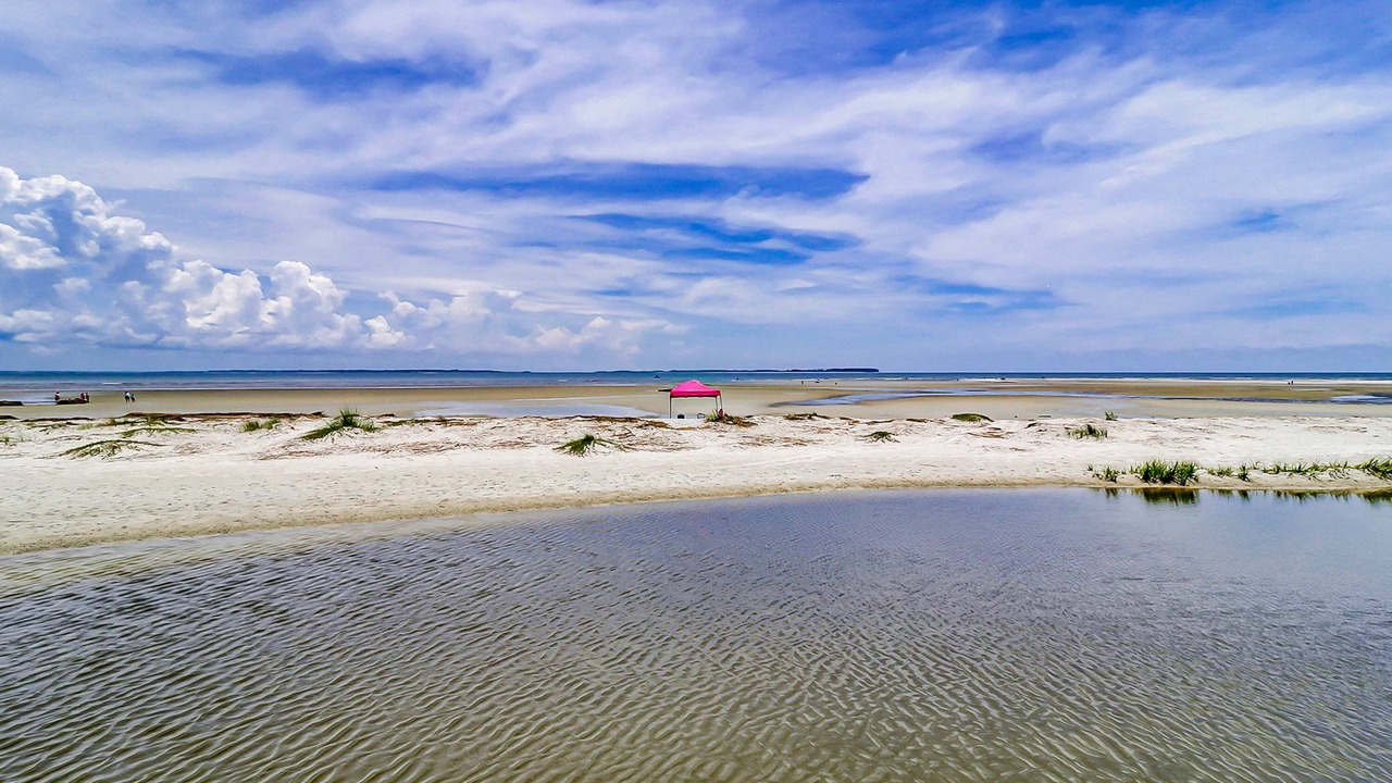 Photo of Others in Palmetto Dunes