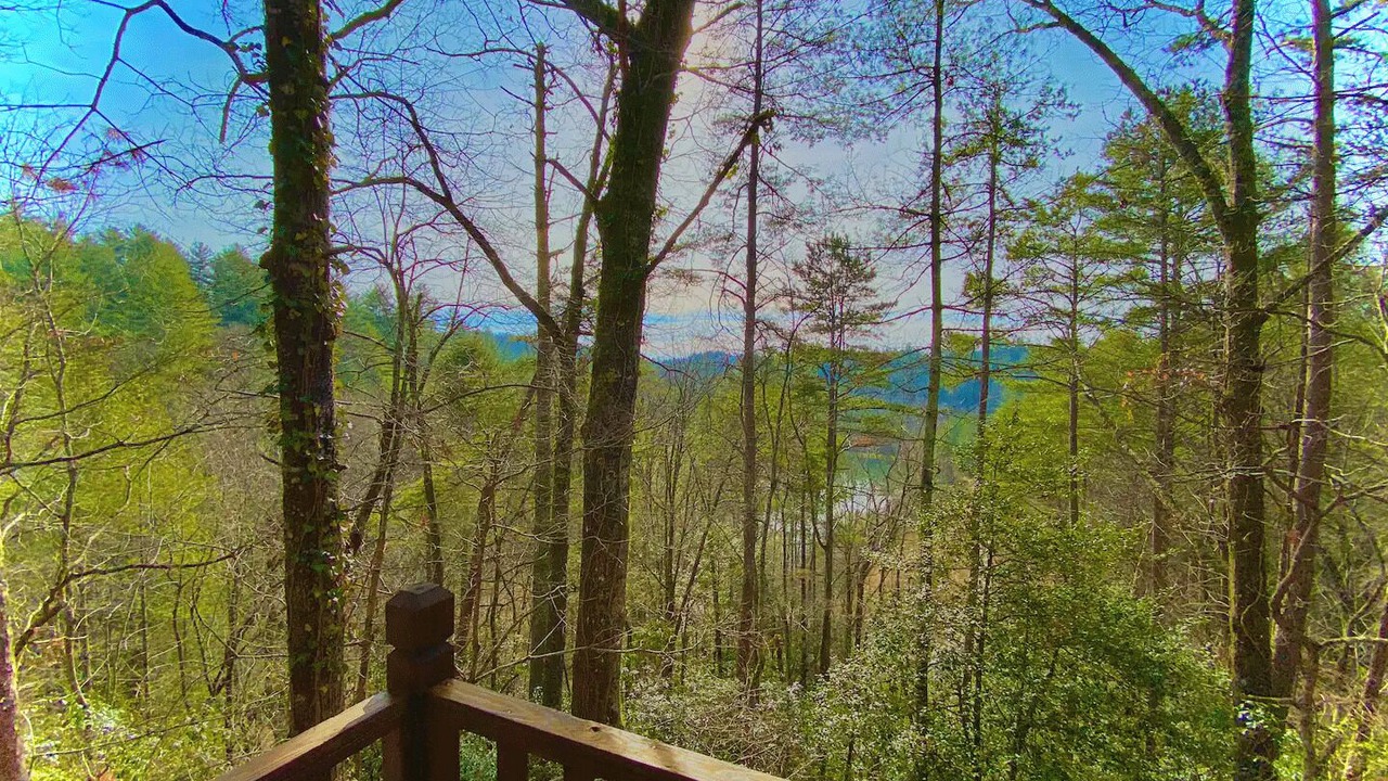 Photo of Outdoor in Ellijay