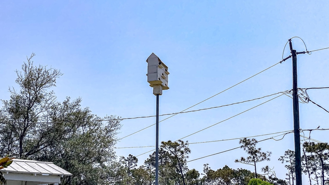 Photo of Others in Port St. Joe