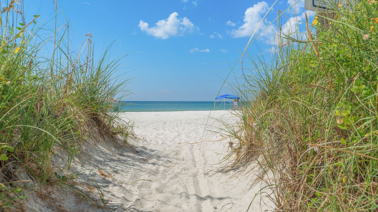 Photo of Others in El Centro Beach