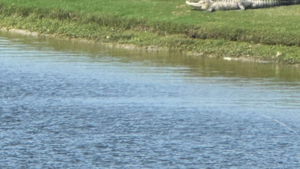 Photo of Others in Immokalee