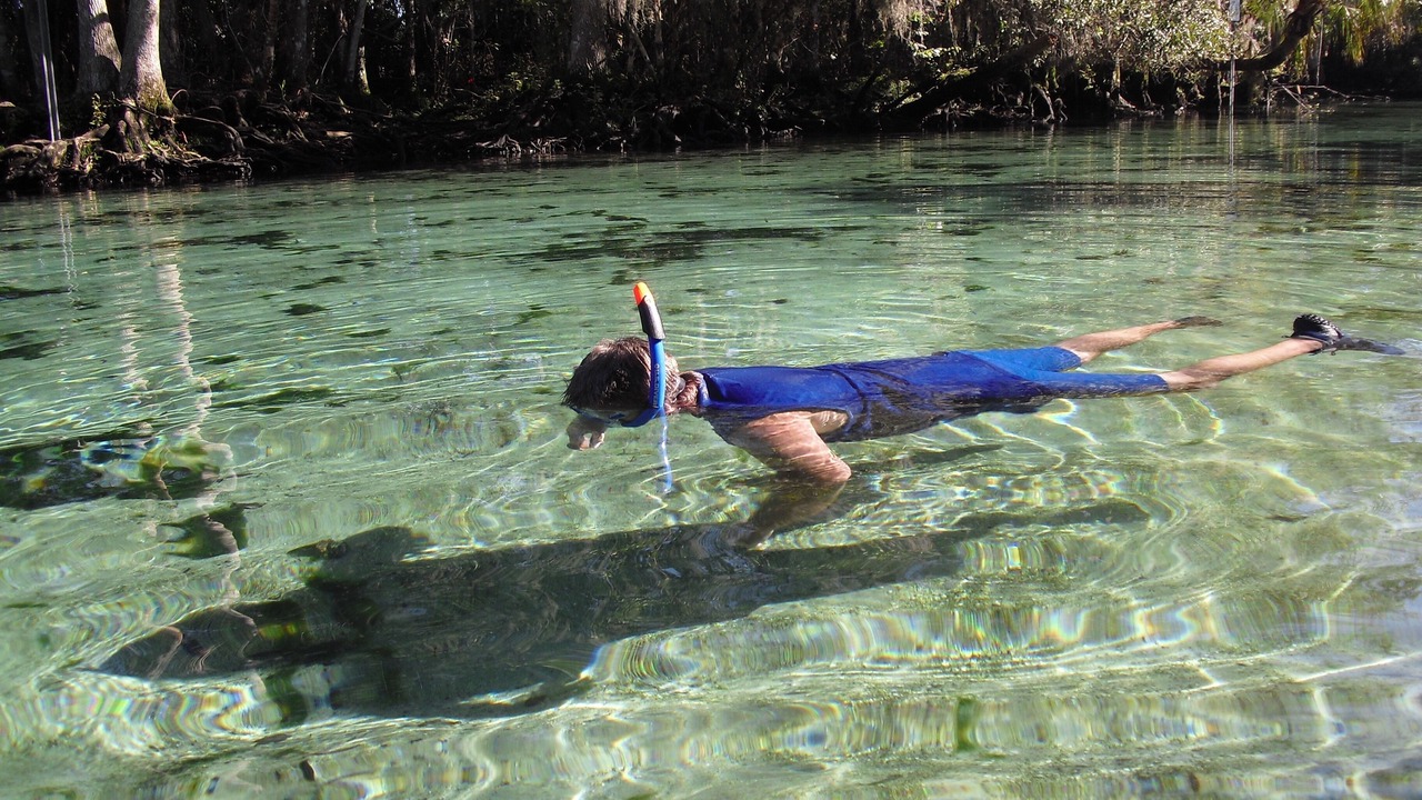 Photo of Others in Springs at Kings Bay