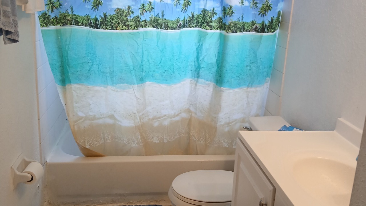 Photo of Bathroom in St. Petersburg - Clearwater