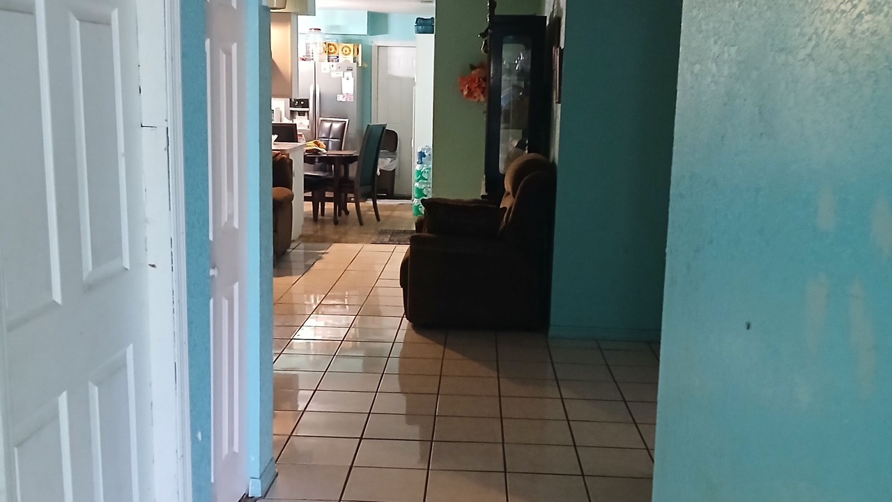 Photo of Others in St. Petersburg - Clearwater