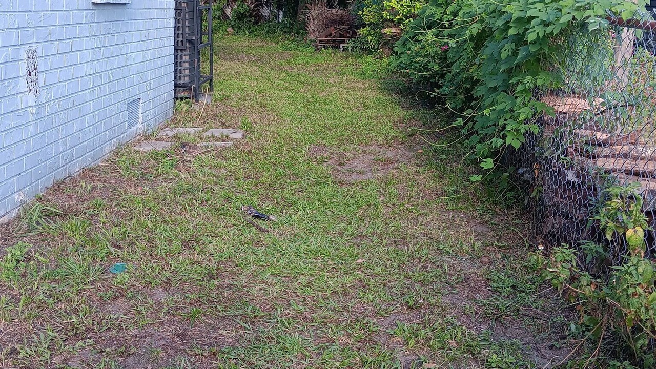 Photo of Outdoor in Jacksonville