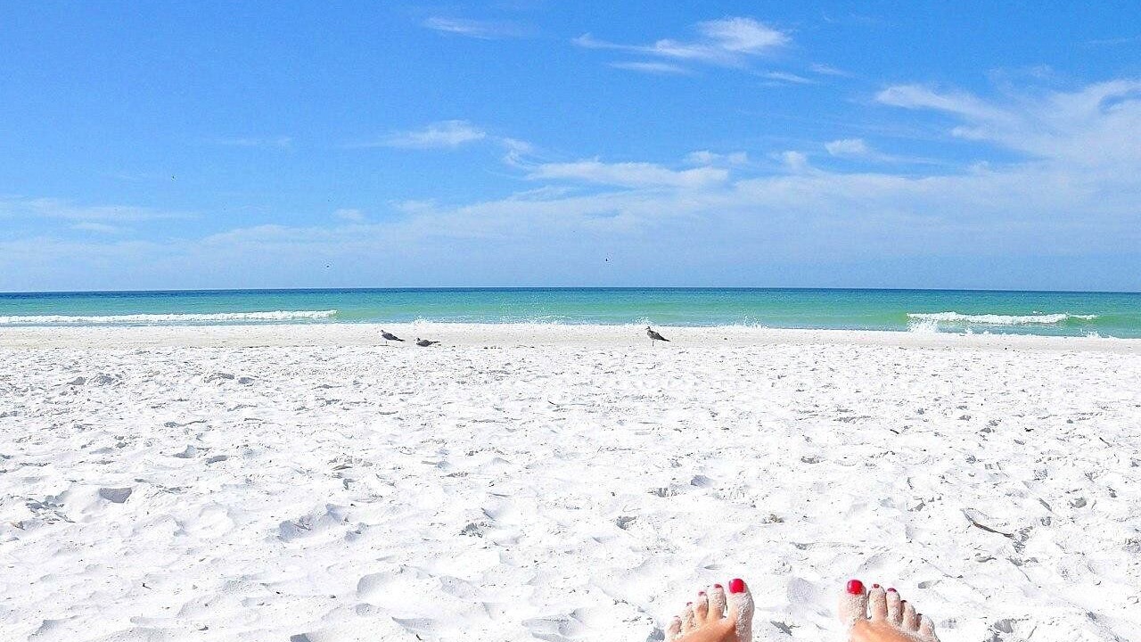 Photo of Others in Siesta Key