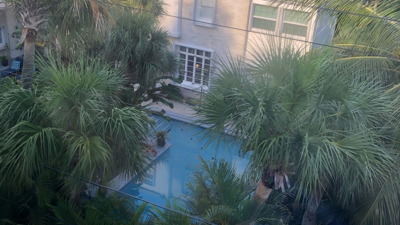Photo of Outdoor in Dolphin Isles