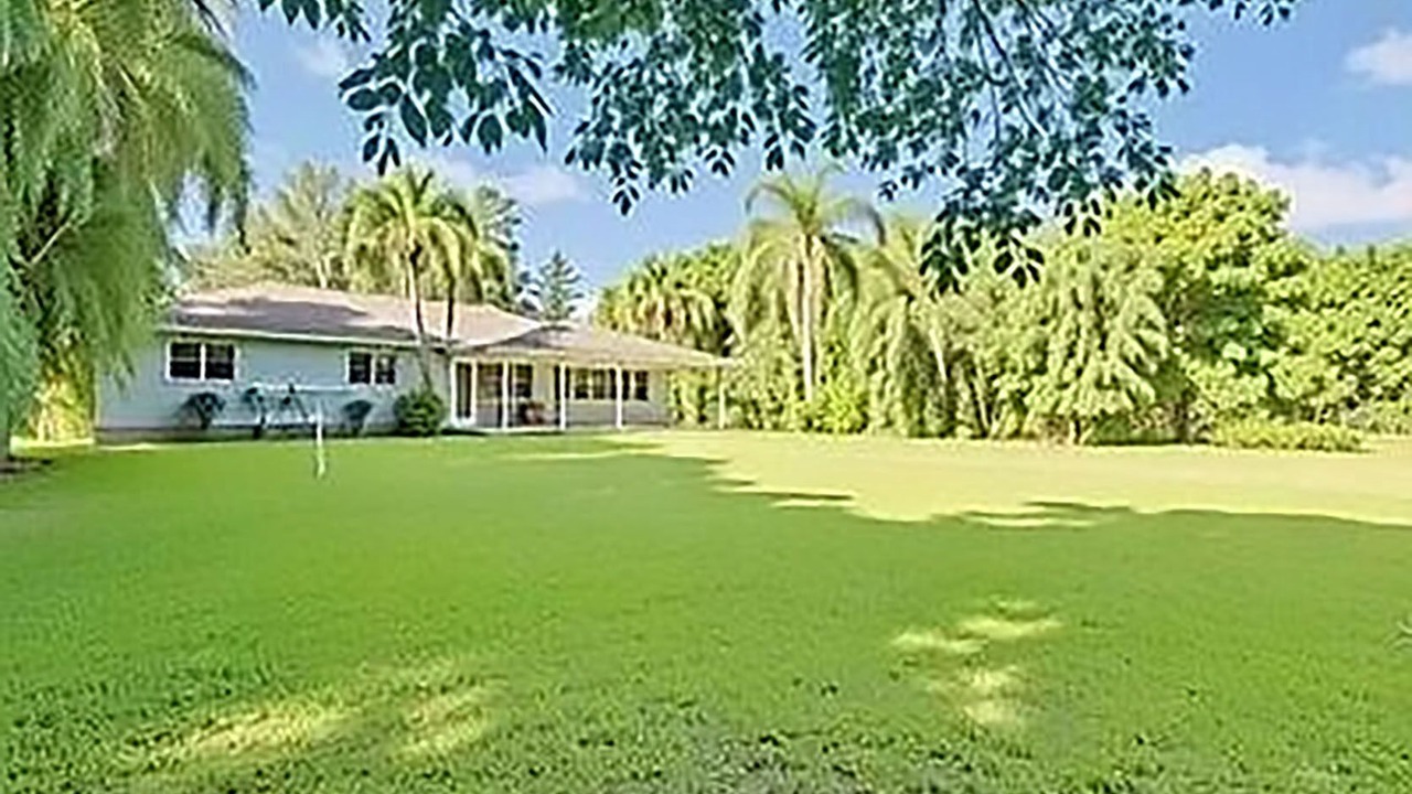 Photo of Outdoor in San Carlos Park