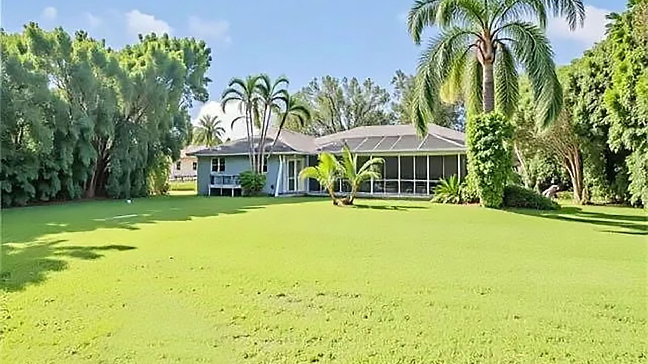 Photo of Outdoor in San Carlos Park