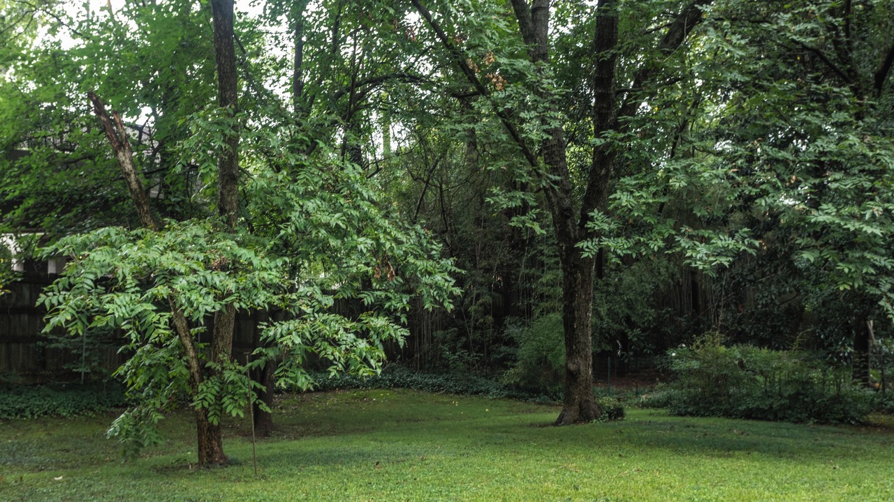 Photo of Outdoor in North Decatur