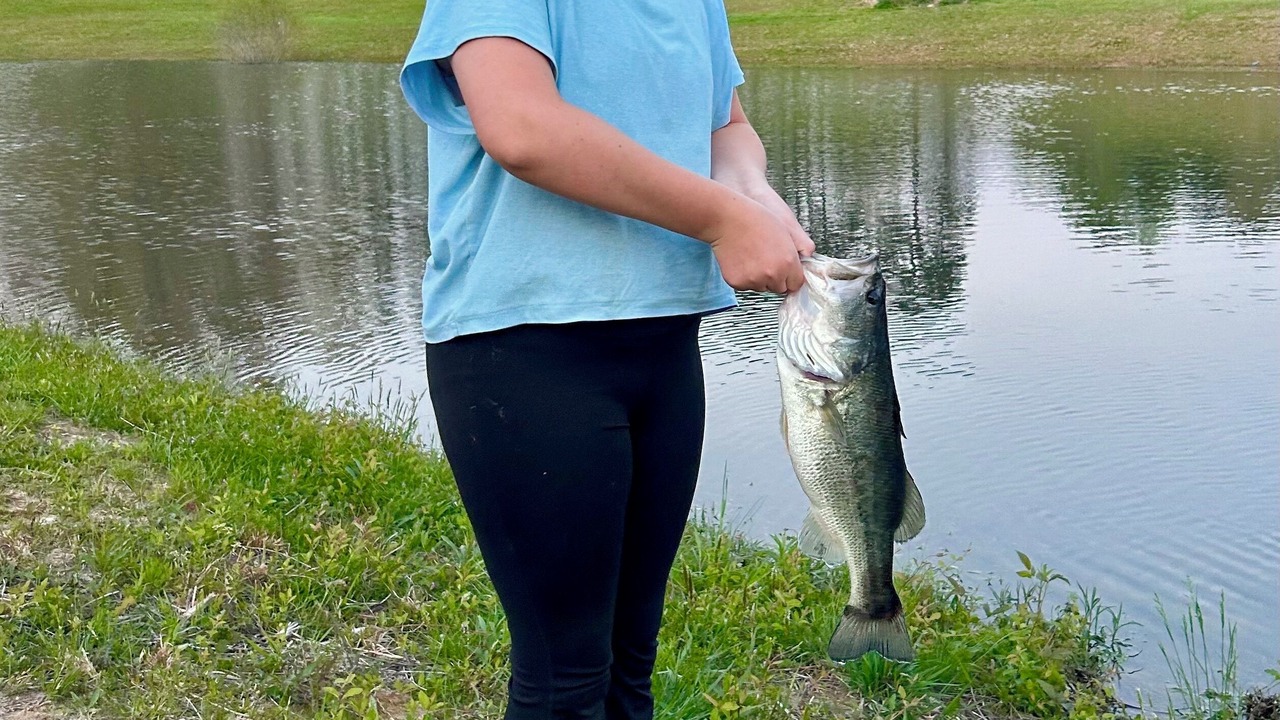 Photo of Others in Bryant