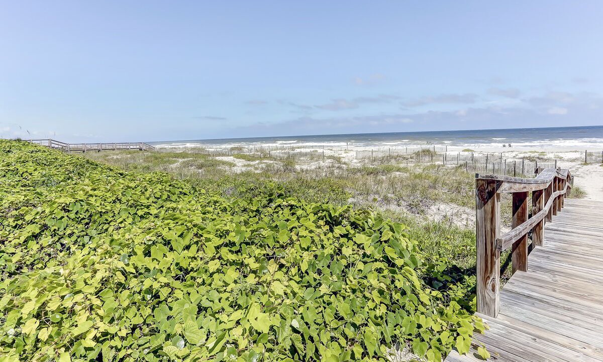 Photo of Others in Fernandina Beach
