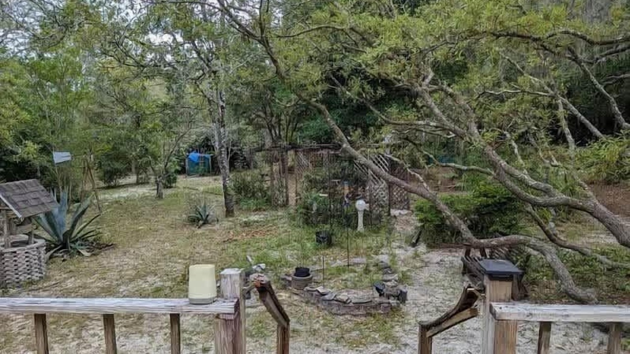 Photo of Outdoor in Hernando