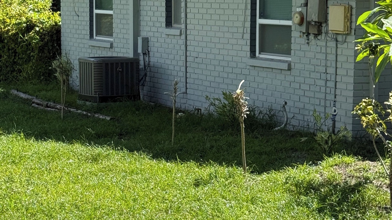 Photo of Outdoor in Moon Lake Estates