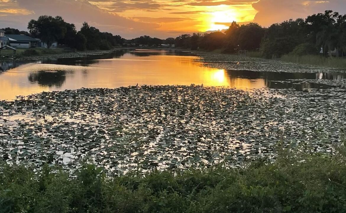 Photo of Others in Taylor Creek