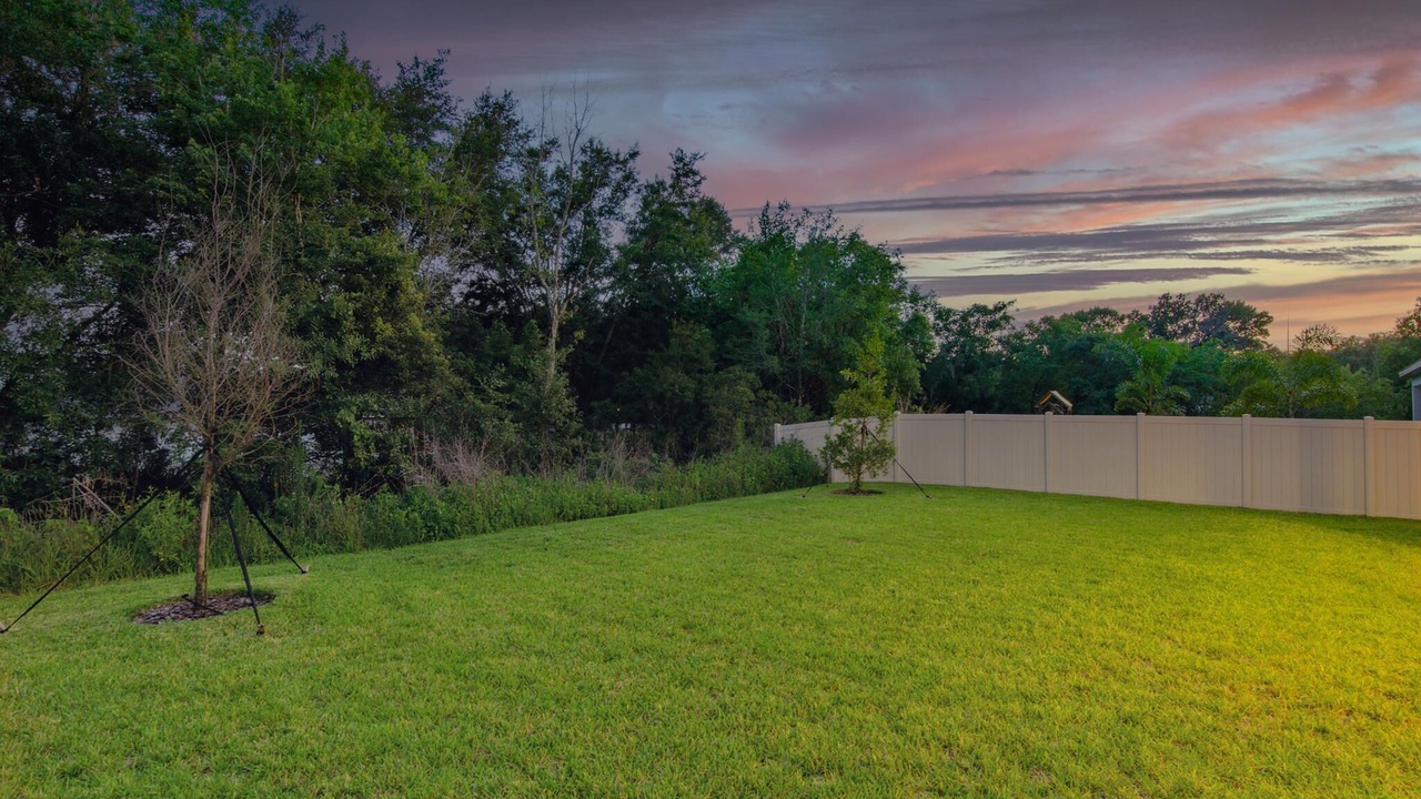Photo of Outdoor in Wesley Chapel South