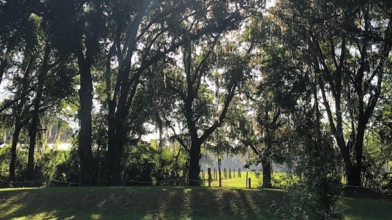 Photo of Outdoor in Webster