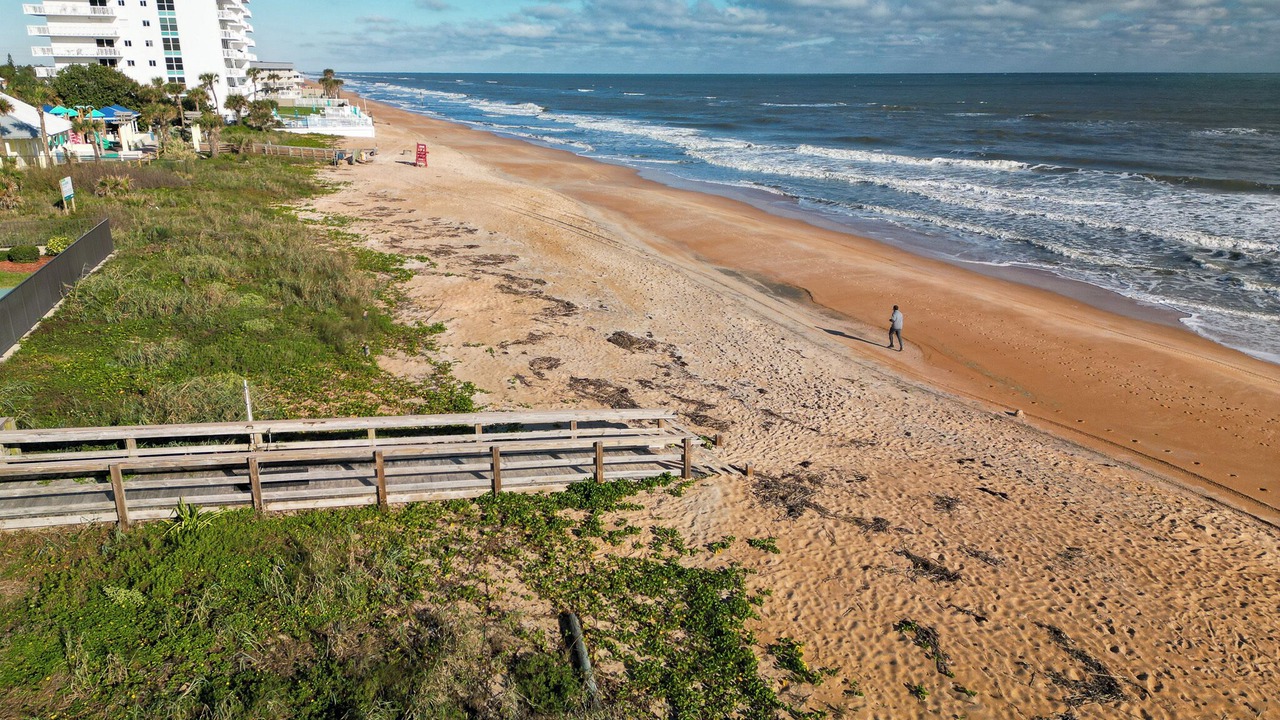 Photo of Others in Ormond-by-the-Sea