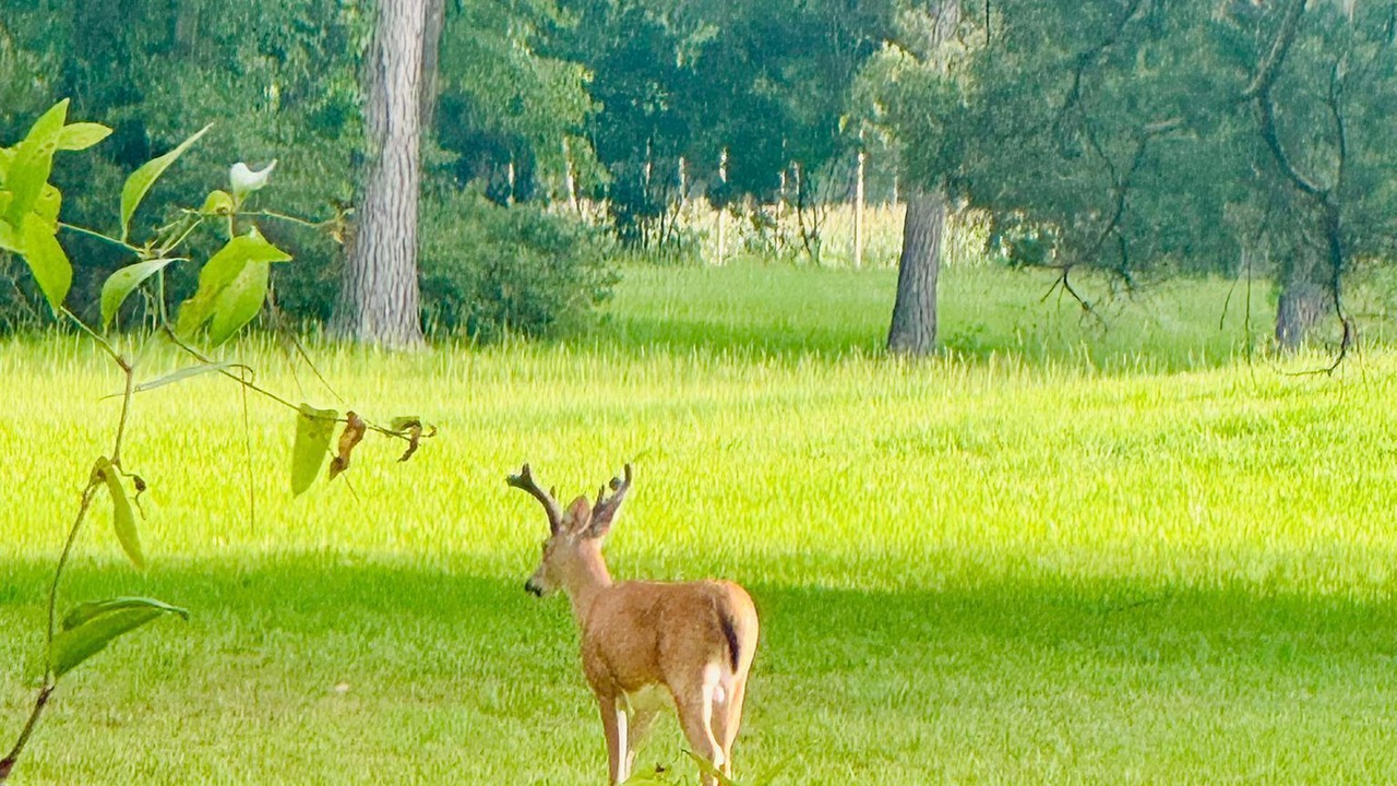 Photo of Others in Graham