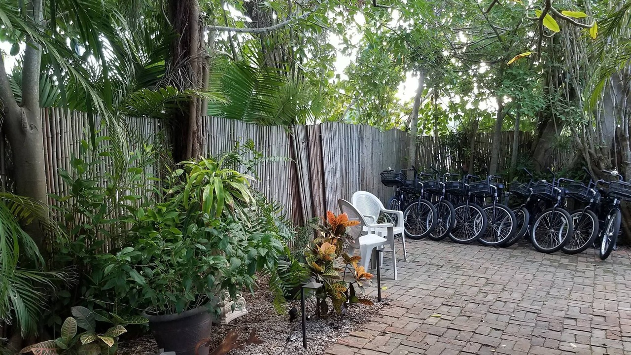 Photo of Outdoor in White Street Gallery District