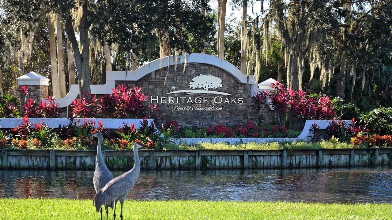 Photo of Outdoor in Sarasota