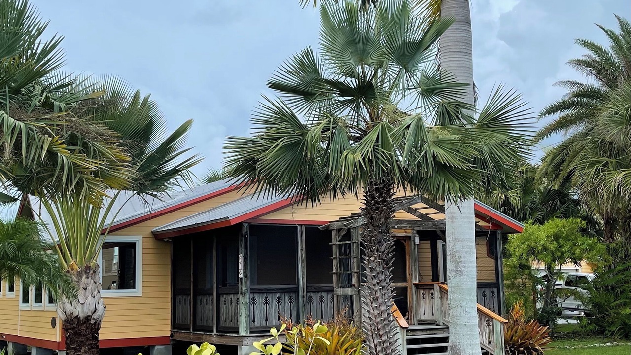 Photo of Outdoor in Everglades City