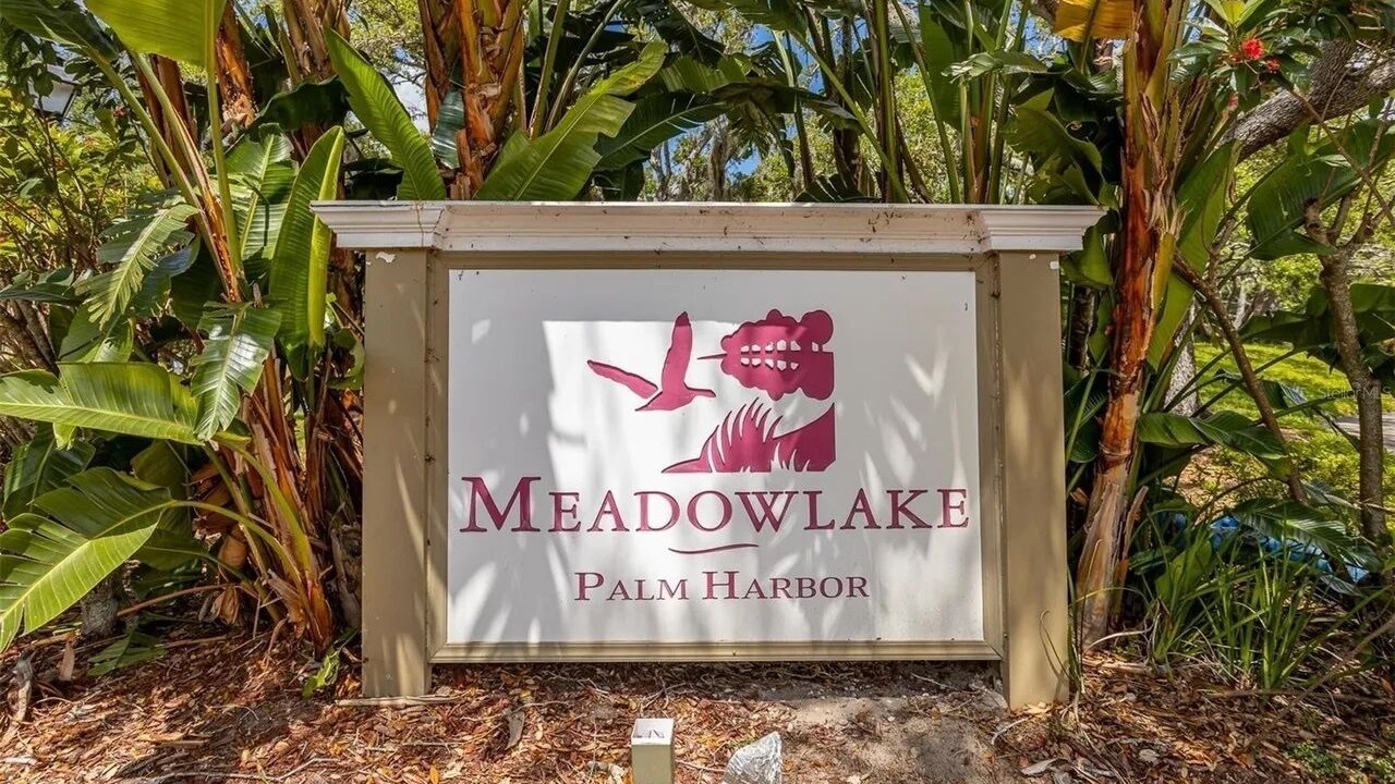 Photo of Outdoor in Palm Harbor