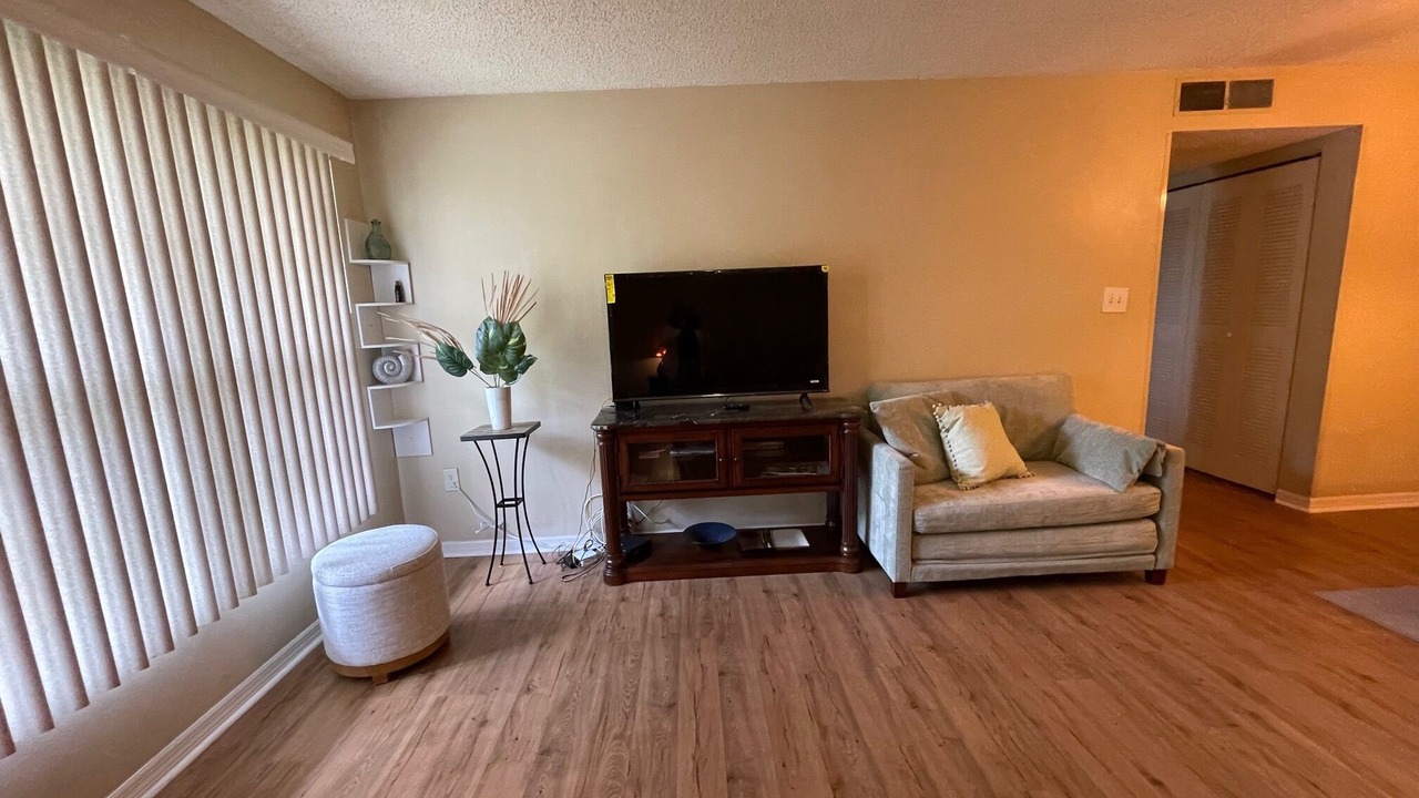 Photo of Livingroom in Palm Harbor