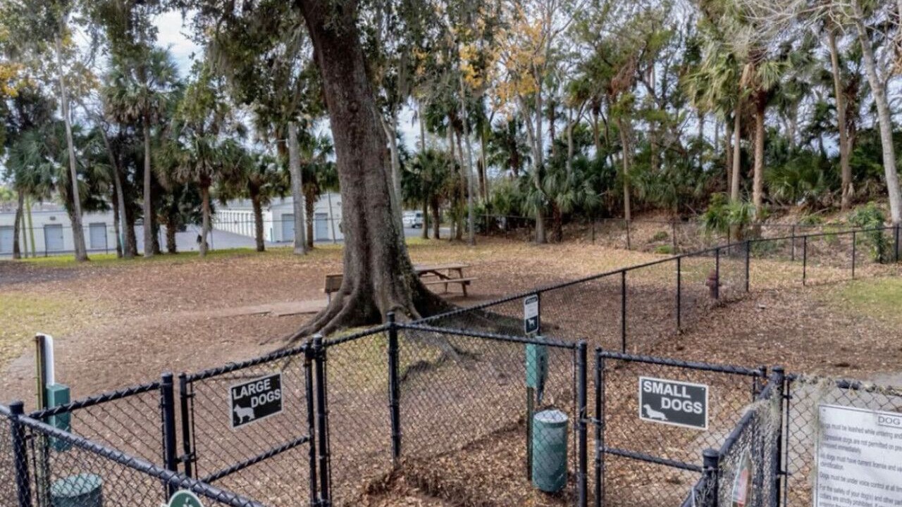 Photo of Outdoor in South Daytona