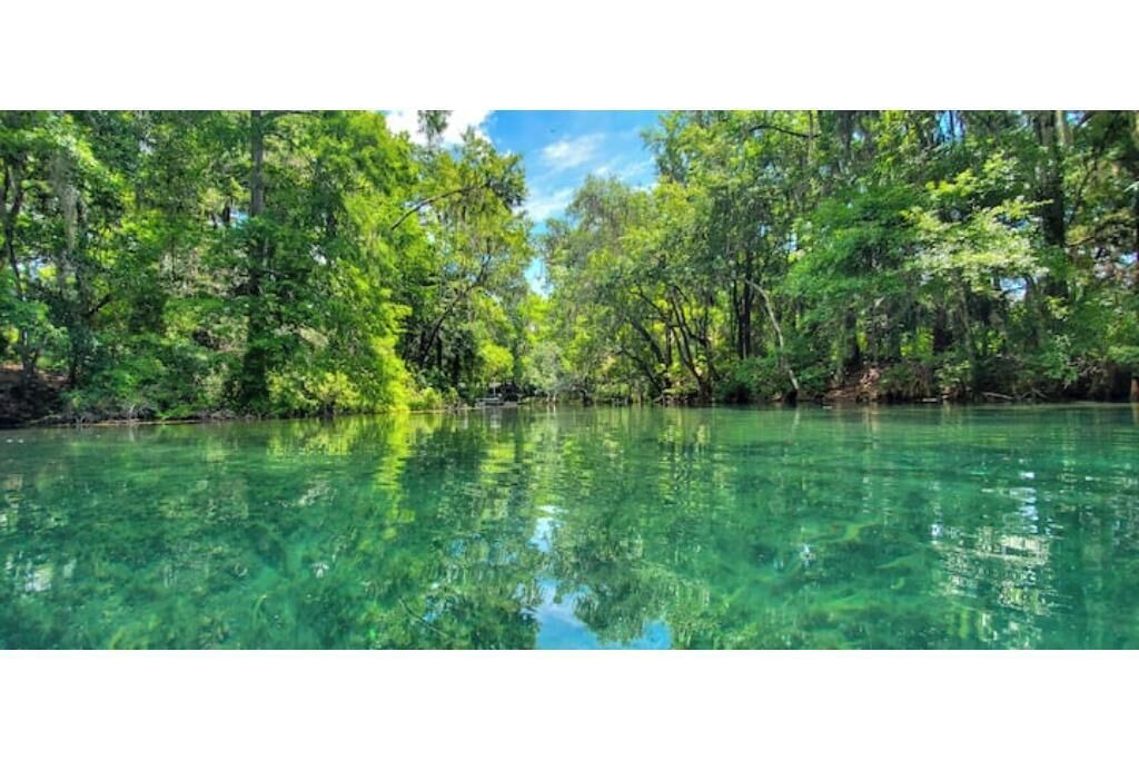 Photo of Others in Citrus Springs
