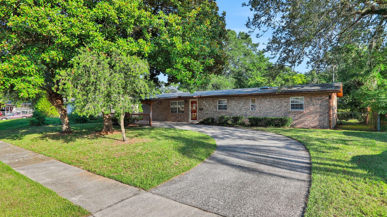 Photo of Outdoor in Orange Park