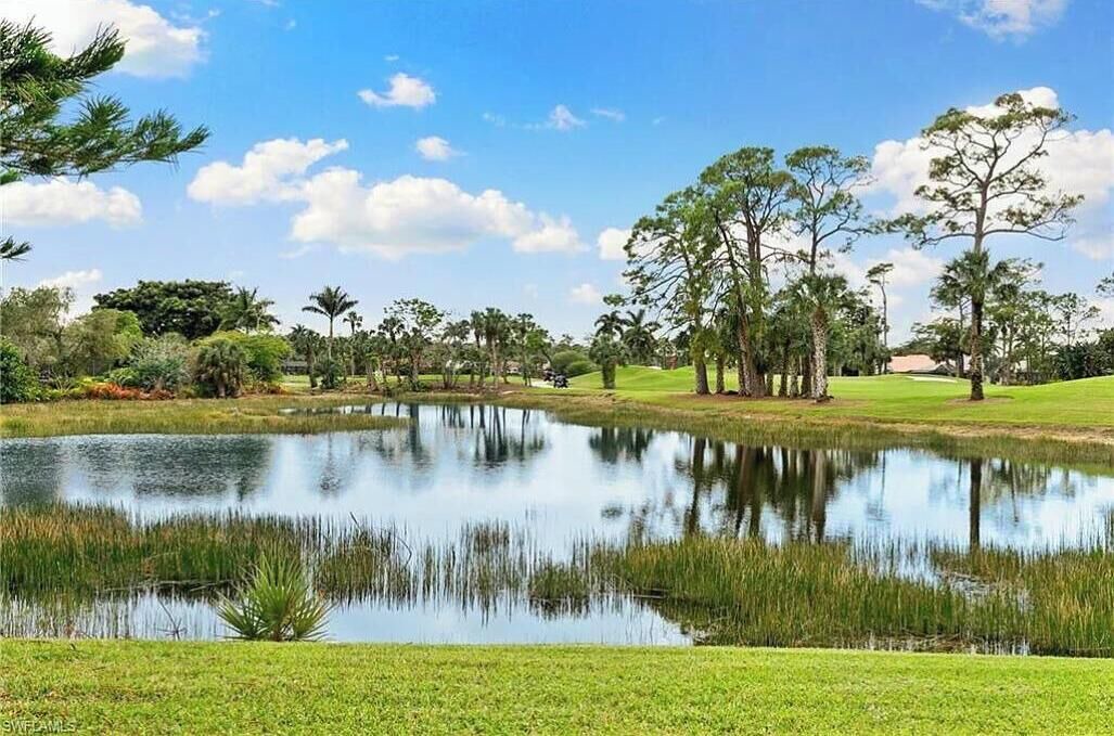 Photo of Others in Lely Golf Estates